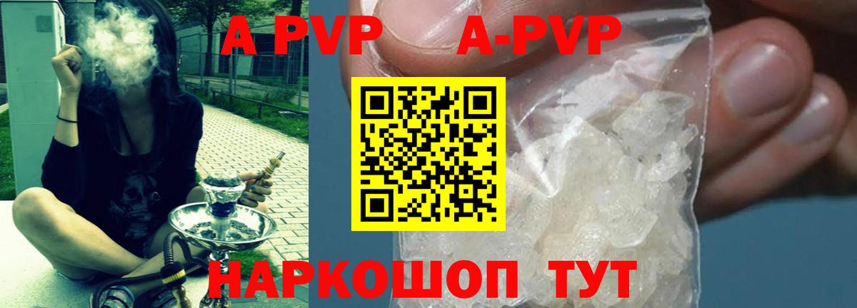дарнет шоп  Alpha-PVP СК КРИС  Вход с VPN  Гусь-Хрустальный  A PVP СК КРИС 