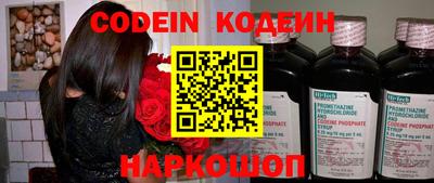 крисы Кулебаки