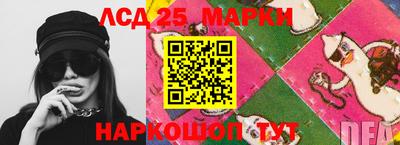 крисы Кулебаки