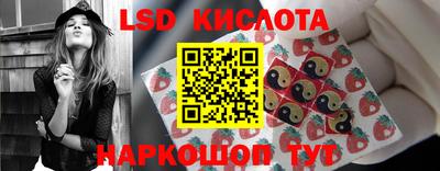 крисы Кулебаки