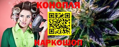 крисы Кулебаки