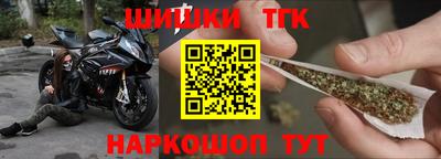 крисы Кулебаки