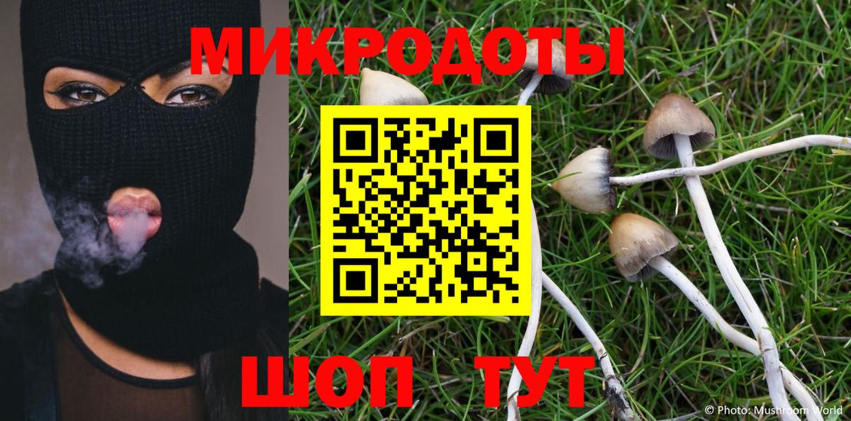 Гусь-Хрустальный  Псилоцибиновые грибы ЛСД  Вход с VPN  Псилоцибиновые грибы ЛСД 